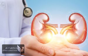 تصویربرداری اورولوژی: راهنمای جامع تشخیص بیماری‌های کلیه و مثانه